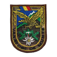 combat (camuflaj) forte terestre