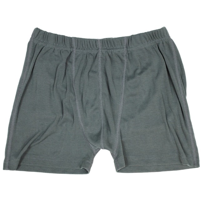 MEN'S BRIEFS, UNDERWEAR - GREY - MILITARY SURPLUS NETHERLANDS ARMY ...