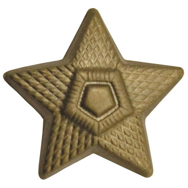 CZ/SK METAL BADGE "STAR" - BRONZ - LIKE NEW