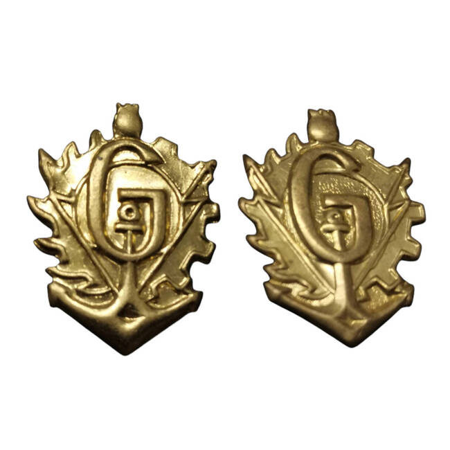 SET OF 2 MILITARY INSIGNIA FOR MILITARY RANK - GENIUS - ROMANIAN ARMY MILITARY SURPLUS  - GOLD - IN GOOD CONDITION 