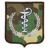 Combat (camuflaj) forte terestre