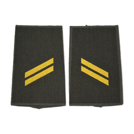 PAIR OF ORIGINAL RANKS - CORPORAL - GERMAN ARMY - NAVY - OLIVE GREEN/GOLDEN